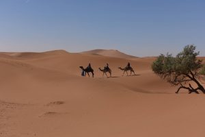 Photo Arne Kr Wadahl, Sahara