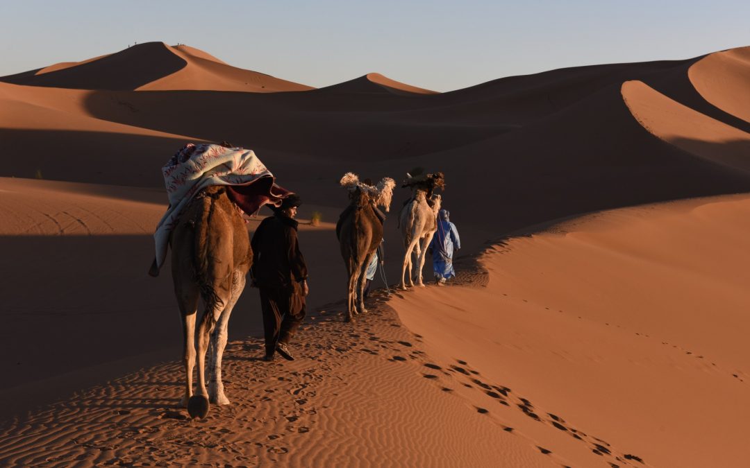 FROM M’HAMID: 6 Days Tour: Desert Nomadic Life