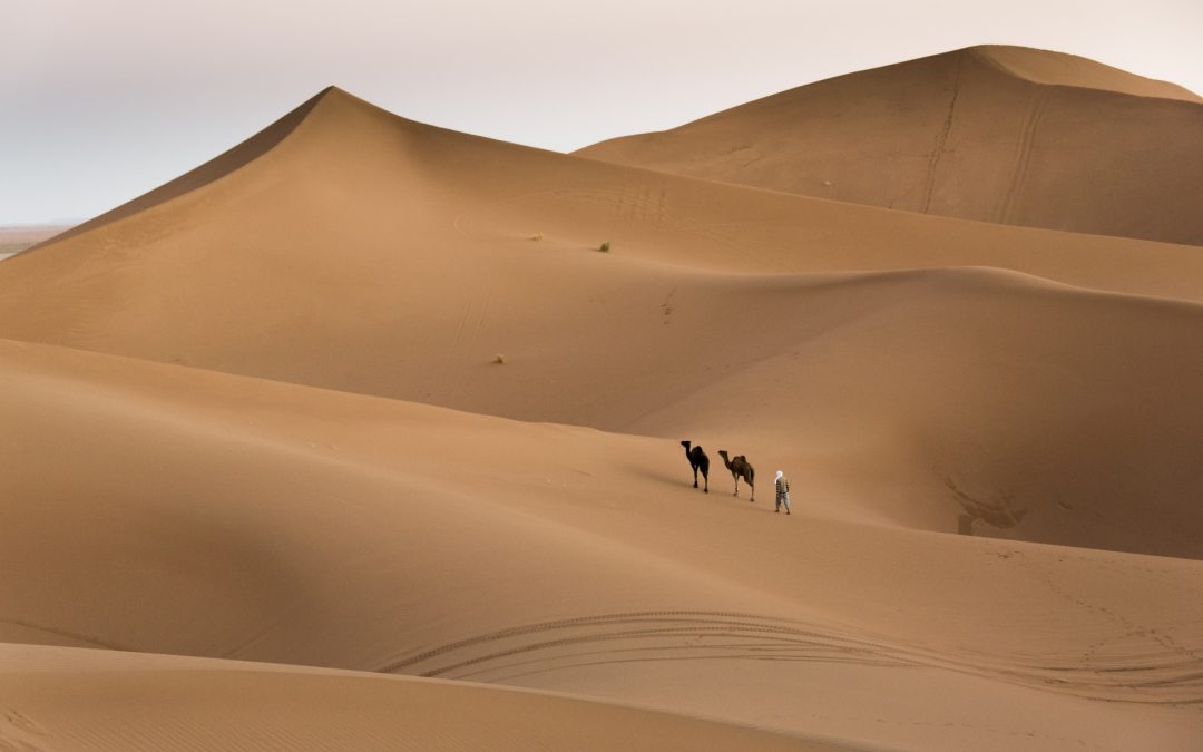 Desert Nomadic Life – Camel Trekking