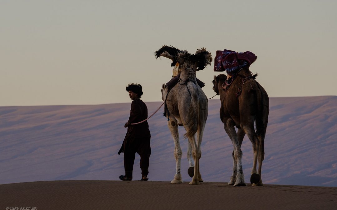 FRA MARRAKESH: 2 dagers tur:  Kasbah Ait Ben Haddou – Erg Lihoudi sanddyner – Ørkencamp