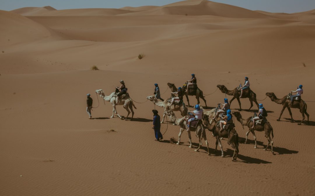 FROM MARRAKECH: 4 Days Desert Tour: Ouarzazate – Dades Gorges – Erg Chebbi dunes – Fes